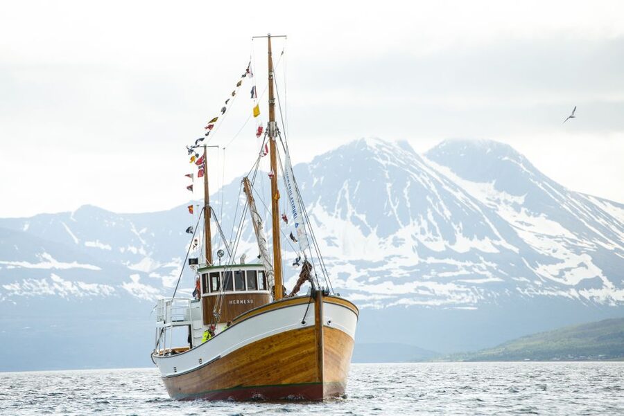 1 Hour Photo & History Cruise - Price and value: $93 for one hour, and why it can still feel fair