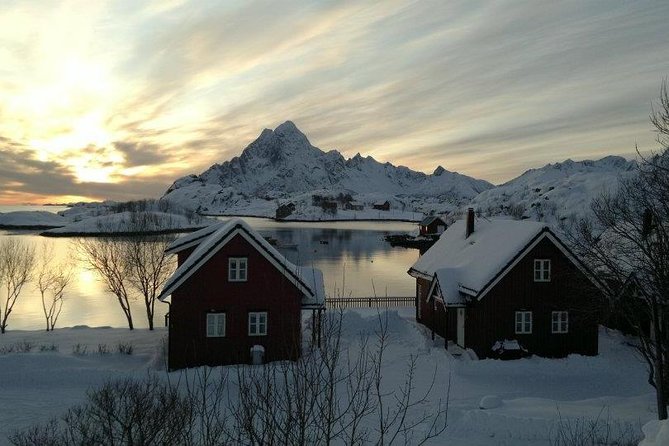 2- Day Lofoten Top Highlights Photo Tour - Should you book this 2-day Lofoten highlights photo tour?