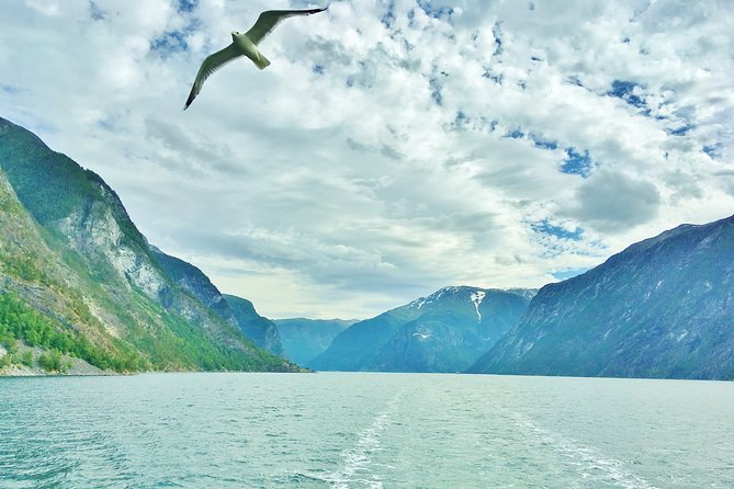 2-Day Round Trip from Bergen: THE GRAND SOGNEFJORD – fjords, waterfalls, glacier - Stegastein and the Old Aurland Road: viewpoints that reward patience