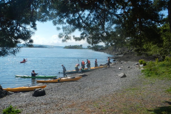 2- hour kayak trip on the Oslo Fjord - Key things to know before you go