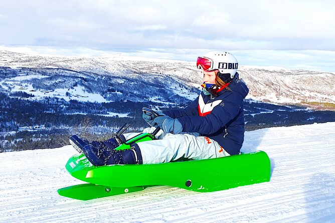 2-Hour Racing Toboggan at Dagali Fjellpark near Geilo in Norway - Key highlights worth planning for