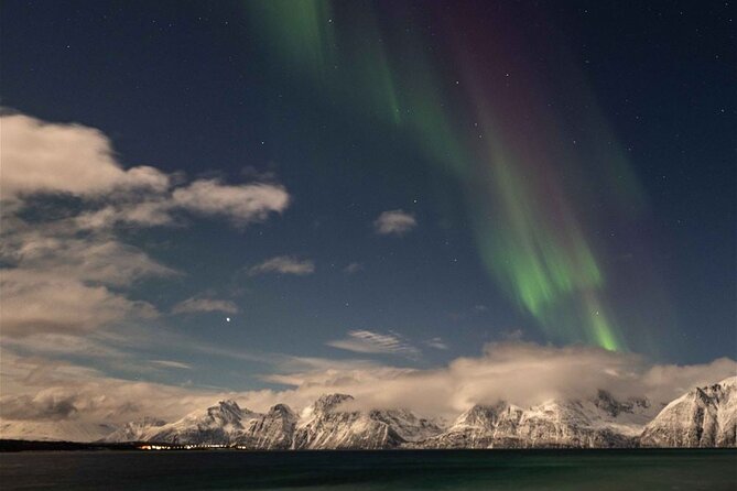 24hr Northern Lights & Whale Watching Cruise - Tromsø check-in at Samuel Arnesens gate 5, then boarding for the night