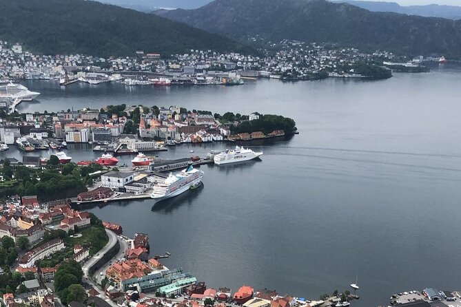 3-Hour Private Tour Hiked through the Bergen Mountains - Who should book this private Bergen mountain hike