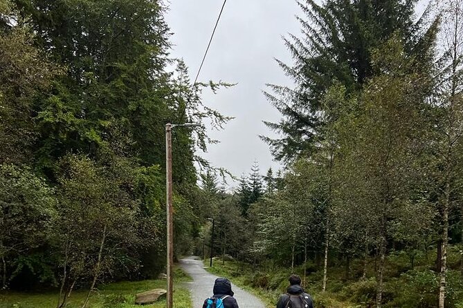 3-Hour Private Tour Hiked through the Bergen Mountains - A guide who adds meaning, not just directions