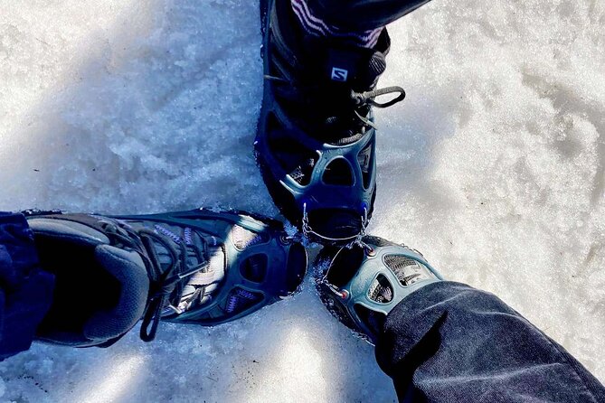 4 hours Best View of the Oslofjord Winter Edition - Frognerseteren metro ride: warm up your eyes before you walk