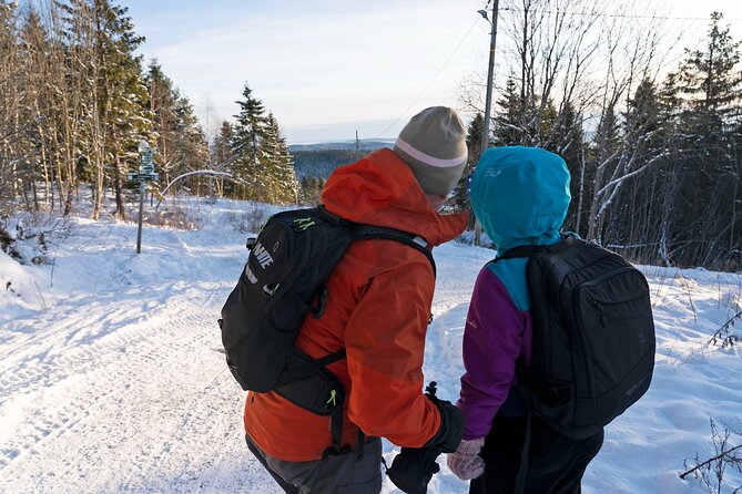 4 hours Best View of the Oslofjord Winter Edition - Fuglemyra and Fuglemyrhytta: cabin culture plus the Huldra myth