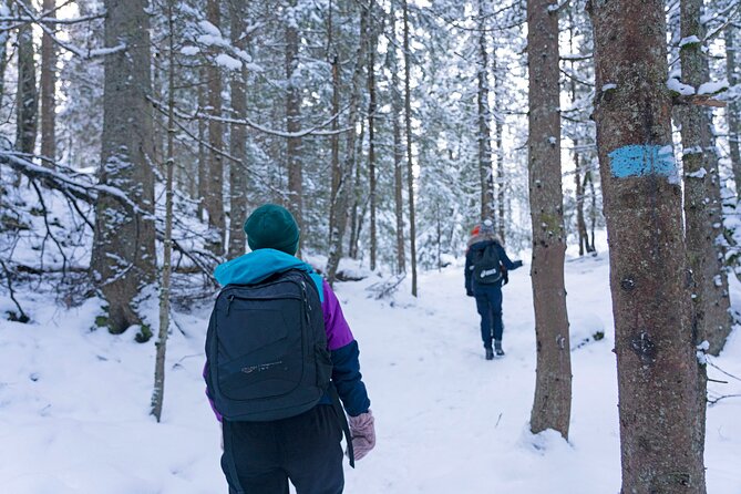 4 hours Best View of the Oslofjord Winter Edition - Price and value: what $107.17 covers in winter Oslo