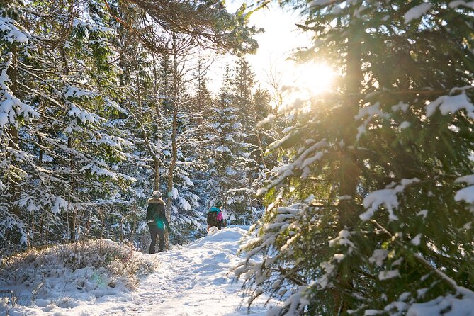 4 hours Best View of the Oslofjord Winter Edition - Who this tour suits best, and who might rethink it