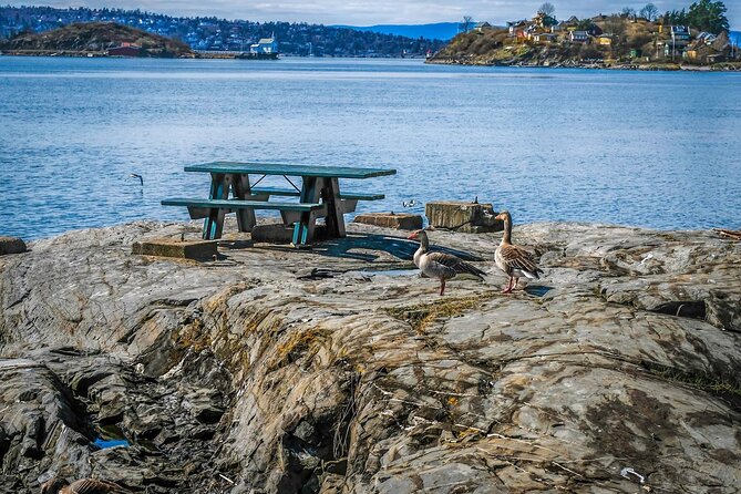 4 Hours Island Hopping Tour in Oslo - Stop 4: Ferry to Lindøya and the 1920s cabin walk