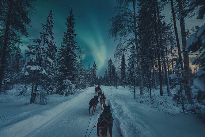4hr Dog Sledding Tour under the Northern Lights - Alta to Gargia: the comfy setup before the huskies