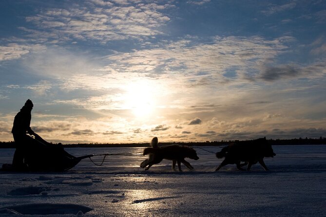 4hr Dog Sledding Tour under the Northern Lights - The aurora hunt: 60 minutes outdoors in Gargia’s winter forest