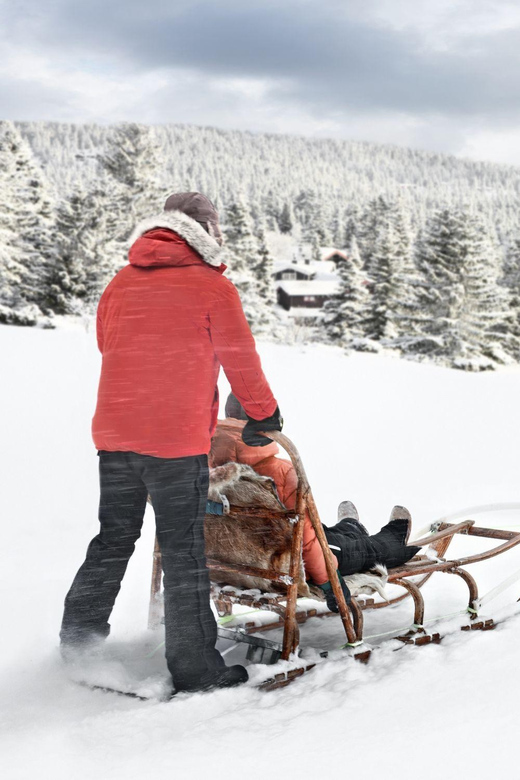 4hr Dog Sledding Trip on Finnmarksvidda - Warm clothing, safe comfort, and that first cold-air reality check