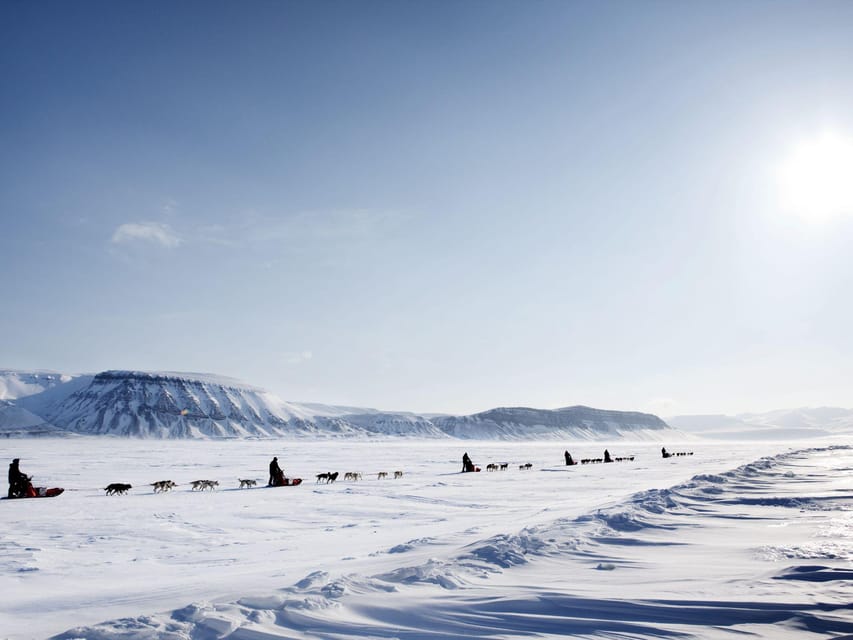 4hr Dog Sledding Trip on Finnmarksvidda - Pine forests, then open plateau, with a mid-trip lodge reset