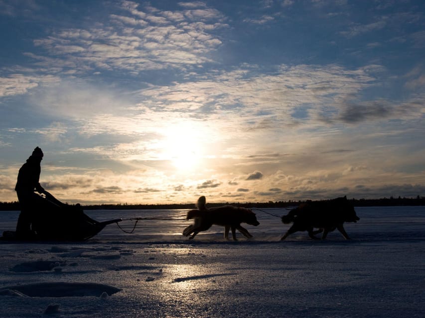 4hr Dog Sledding Trip on Finnmarksvidda - Price and value: $340 is the cost of staff, dogs, and cold-weather logistics