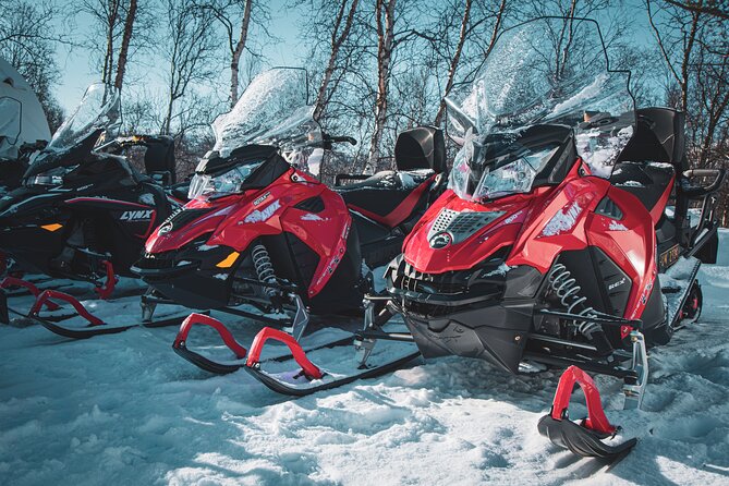 4hr Finnmarksvidda Snowmobile Adventure - Why Finnmarksvidda Is the Real Prize