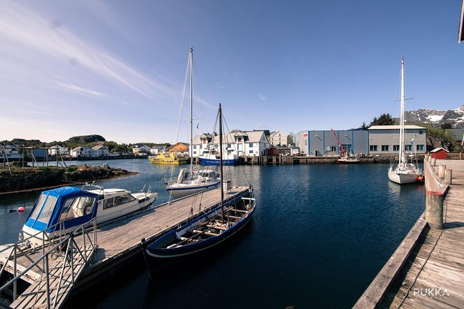 5 Highlights Of Lofoten From Svolvær - Stop 3: Haukland Beach, the road-to-sand classic with real swimming vibes