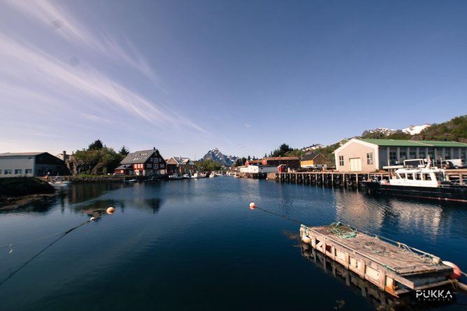 5 Highlights Of Lofoten From Svolvær - What the included food, gear, and tripod access mean for your comfort