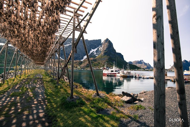 5 Highlights Of Lofoten From Svolvær - Getting rolling: meet at Pukka Travels, then gear up and go