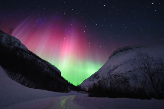Adults Only Aurora Hunt with Wandering Owl - Firelight, homemade vegan soup, and the warmth that makes it doable