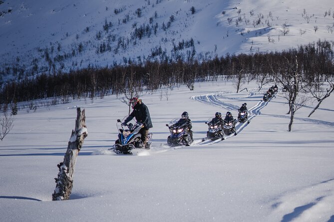 Adventure Snowmobile Safari - What You’ll See on the Trails Near Camp Tamok