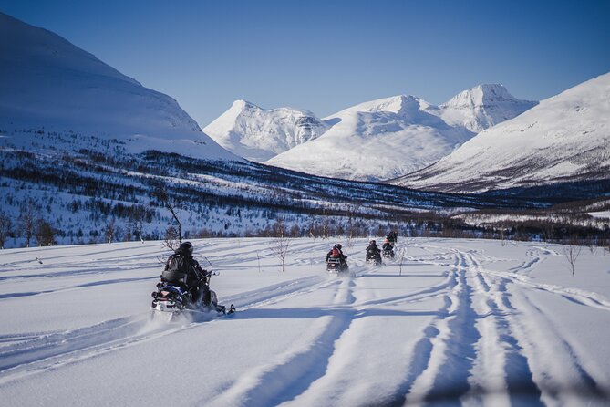 Adventure Snowmobile Safari - Timing, Group Size, and What to Expect From the Day’s Flow