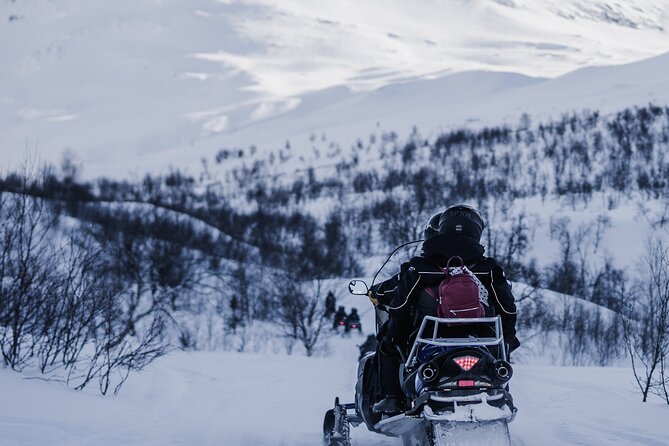 Adventure Snowmobile Safari - Price and Value: Is $267.02 a Good Deal?