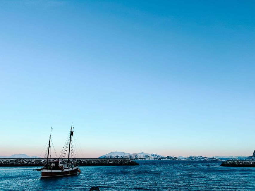 Ålesund: Ålesund and Surrounding Islands Audio Guide Tour - Price and what you’re really buying for $136