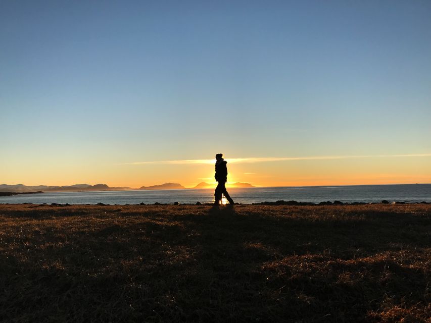 Ålesund: Ålesund and Surrounding Islands Audio Guide Tour - Who should book this Ålesund audio guide tour