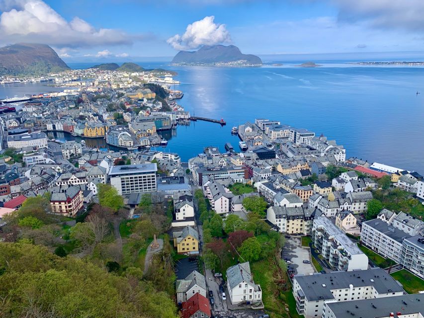 Alesund: Private Tour to the Viking Islands - Key highlights that make this tour work