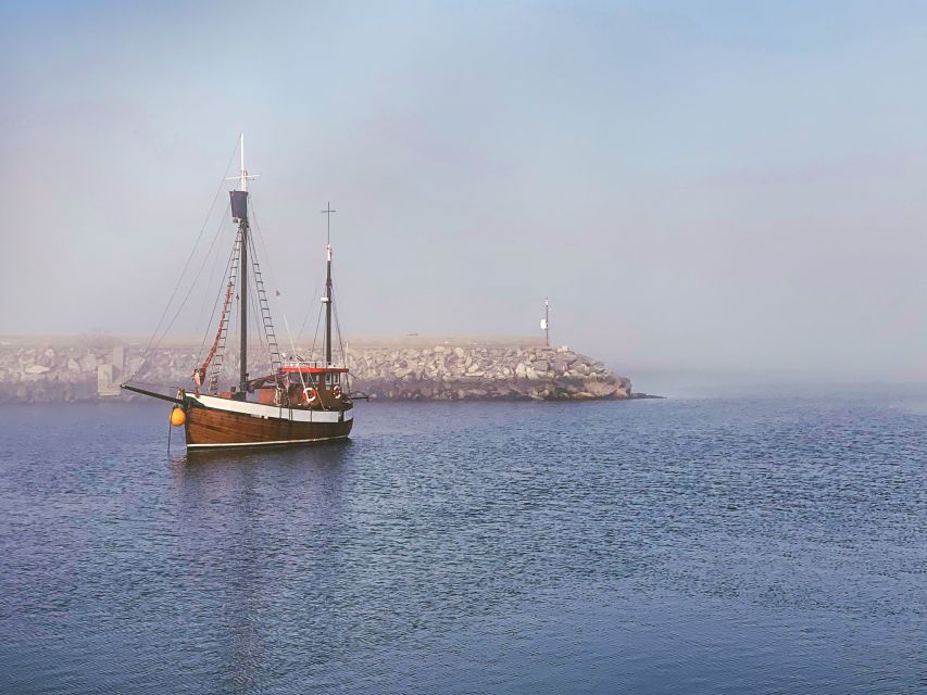 Alesund: Private Tour to the Viking Islands - Godøy, Alnes, and the fishing village mood near the lighthouse