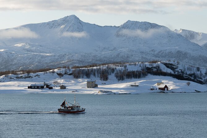 All-Inclusive Arctic Fjords and Sommarøy Scenic Tour - Quick Take: Why This Tour Works