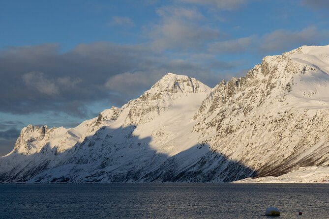 All-Inclusive Arctic Fjords and Sommarøy Scenic Tour - Key Points to Know Before You Go
