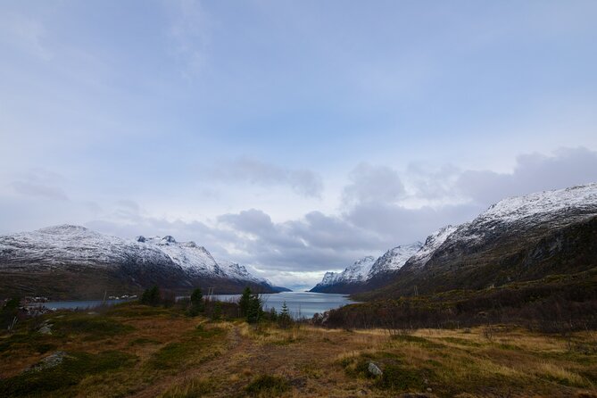 All-Inclusive Arctic Fjords and Sommarøy Scenic Tour - Kvaløya Island Photo Stops and the Arctic Wildlife Odds