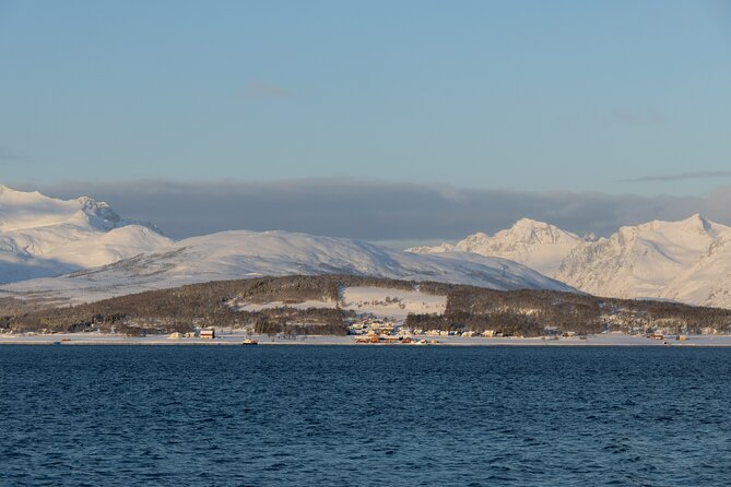 All-Inclusive Arctic Fjords and Sommarøy Scenic Tour - Sommarøy Lunch: Norwegian Comfort by Crystal-Clear Water