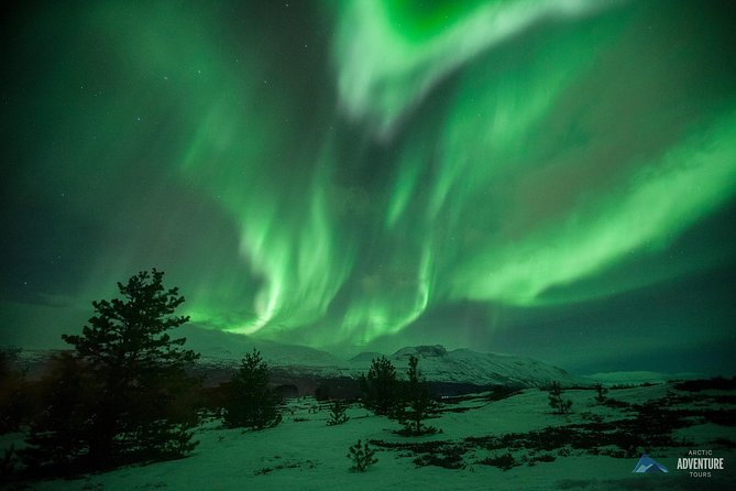 All inclusive - Northern Lights Hunt - Tromsø’s aurora hunt, minus the chaos