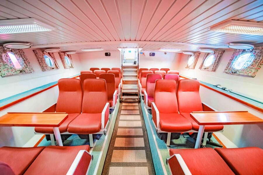 Alta: Altafjord Whale Watching in a Heated Boat - How You’ll Spot Whales From a Heated Cabin (Without Freezing)