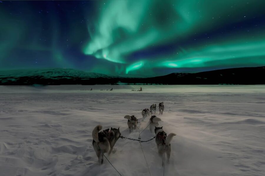 Alta: Dog Sledding Trip under the Northern Lights - From Alta to Gargia, you start with real winter comfort