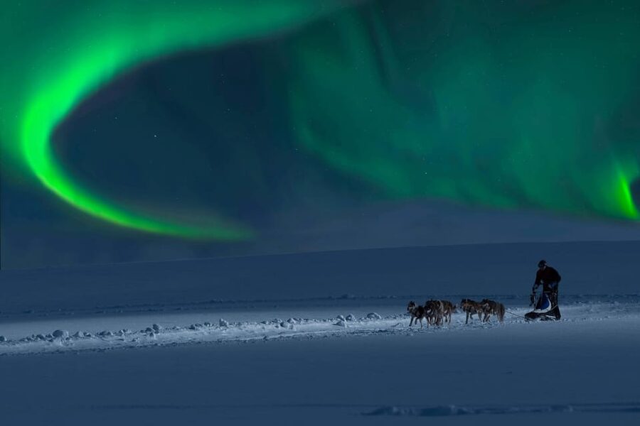 Alta: Dog Sledding Trip under the Northern Lights - Price and value: is $391 a fair deal for 4 hours?