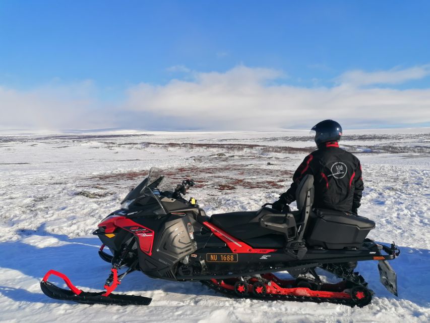 Alta: Guided Snowmobile Safari on Finnmarksvidda With Snacks - Should you book Alta Adventure’s Finnmarksvidda snowmobile safari?