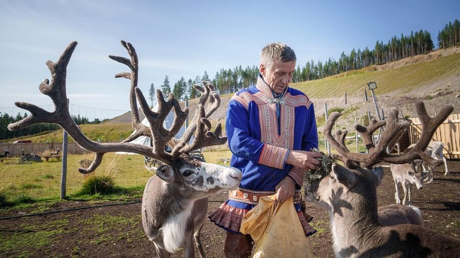 Alta: Reindeer - A carrier of Sámi Culture - Key highlights you will actually remember