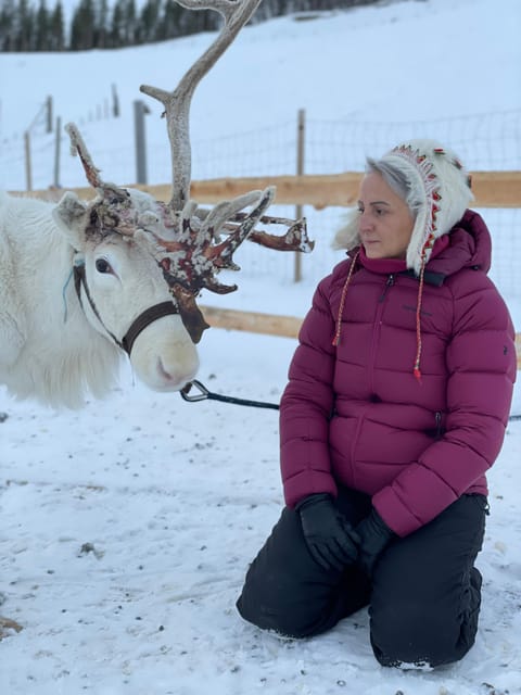 Alta: Sami Cultural Experience with Lavvu and Reindeers - Entering Alta’s Sami world, in a lavvu that actually makes sense