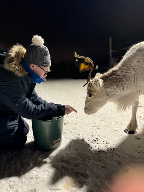Alta: Sami Cultural Experience with Lavvu and Reindeers - Reindeer time: feeding as a guided cultural moment