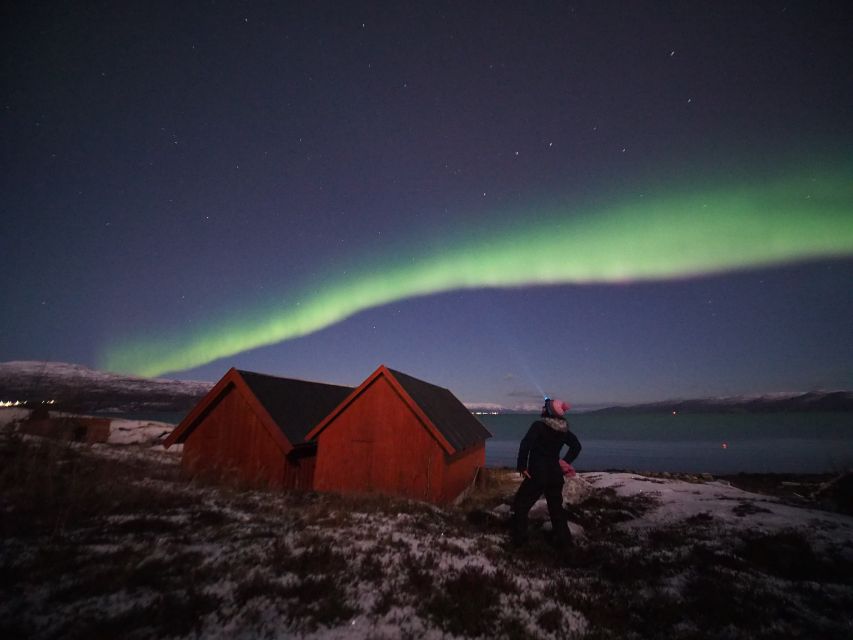 Alta: Small-Group Guided Northern Lights Tour - Key things that make this aurora hunt work