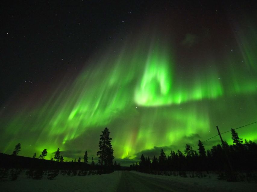 Alta: Small-Group Guided Northern Lights Tour - How the Alta Fjord aurora hunt actually gets planned