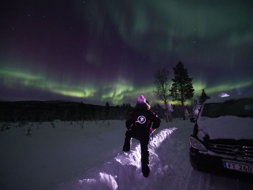 Alta: Small-Group Guided Northern Lights Tour - Price and value: is $251 a fair deal in Alta?