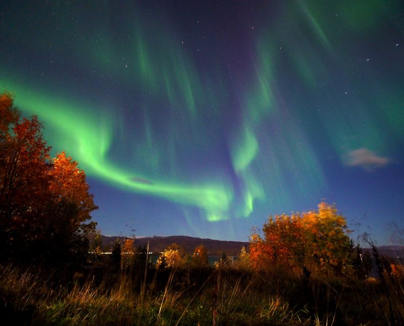 Alta: Small-Group Guided Northern Lights Tour - FAQ