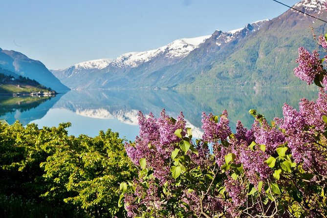 AMAZING HARDANGER FJORD: Private guided round trip from Bergen, 10 hours - Skårsvatnet Goldfish Lake: A Calm Detour with a Quirky Twist
