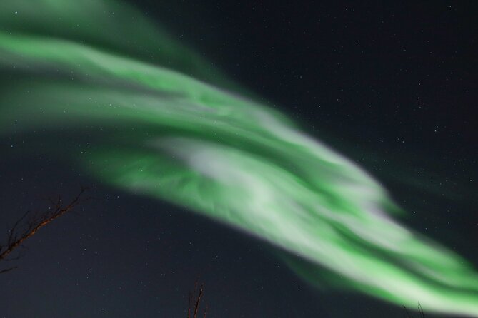 An All-Inclusive Tour - Aurora & Arctic Experience - The Campfire Stop: Warm Drinks, Local Food, and Aurora Portraits