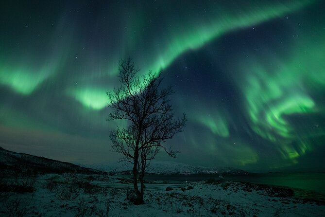 An All-Inclusive Tour - Aurora & Arctic Experience - Photos: Low-Res Included, High-Res Costs Extra