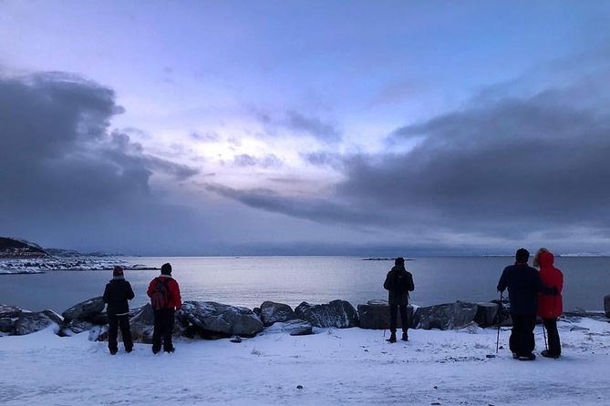 Arctic Coastal Walk - The walk itself: easy distance, real icy footing, smart gear